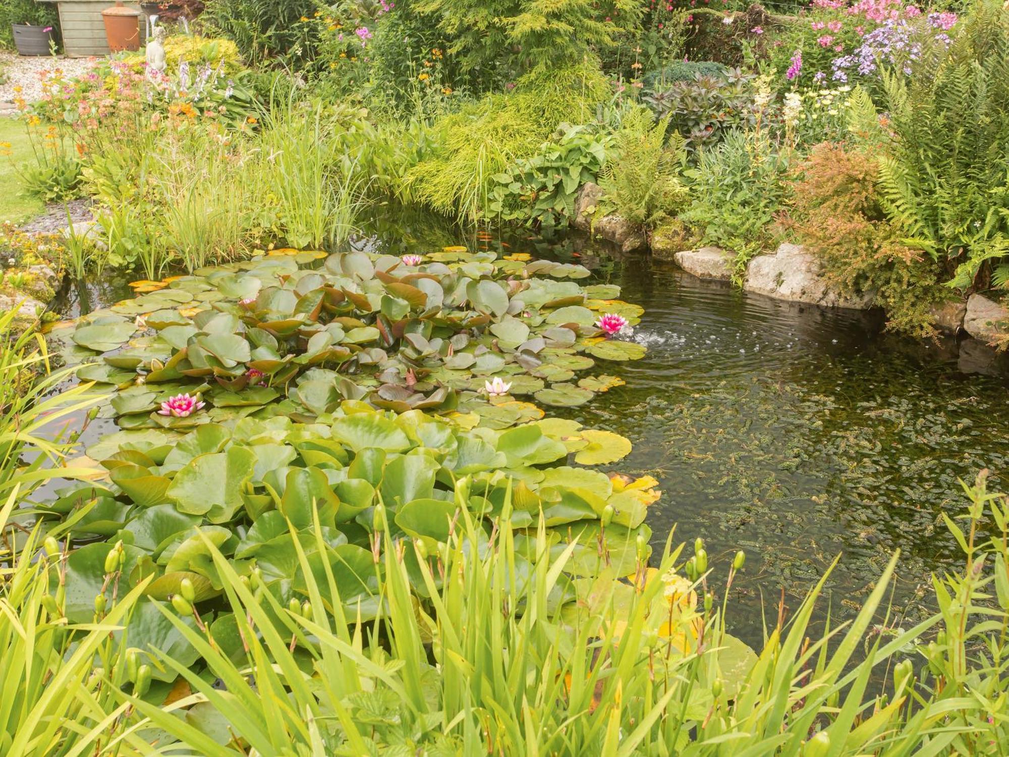 Hippos Rest Villa Mow Cop ภายนอก รูปภาพ
